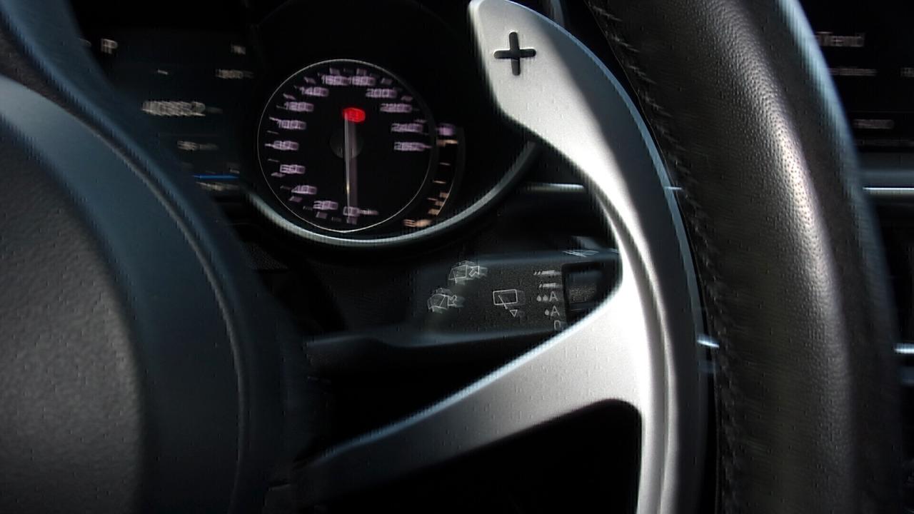 Alfa Romeo Stelvio 2.2 Turbodiesel 210 CV AT8 Q4 Executive