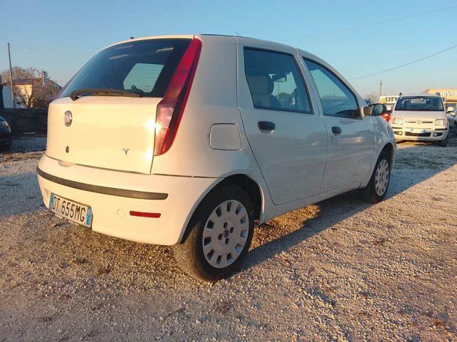 FIAT Punto Classic 1.2 5 porte Active