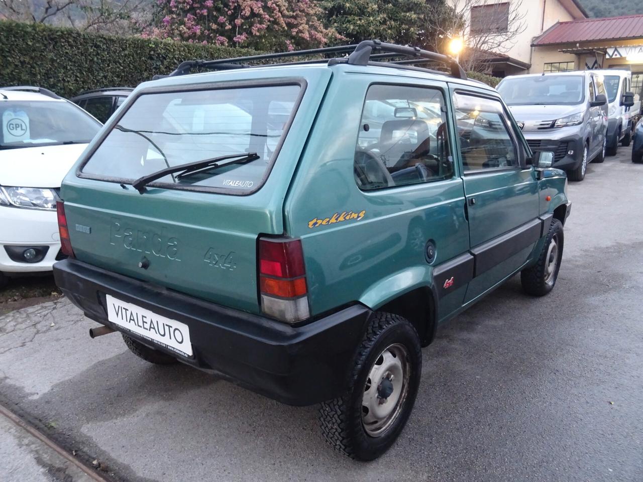 Fiat Panda 1100 i.e. cat 4x4 Trekking