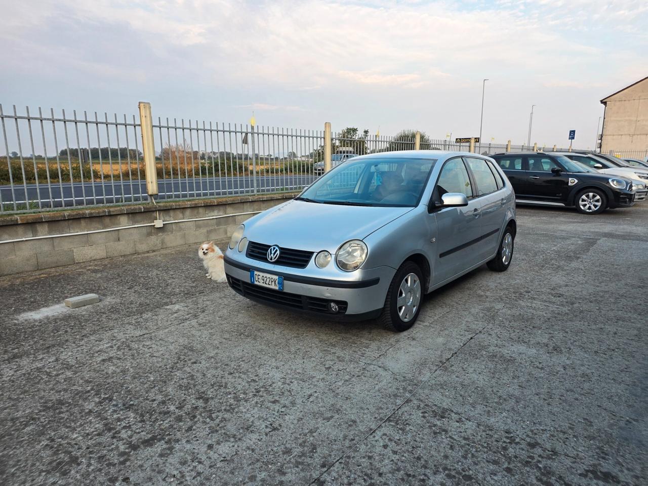 Volkswagen Polo 1.4 TDI 5p. Trendline