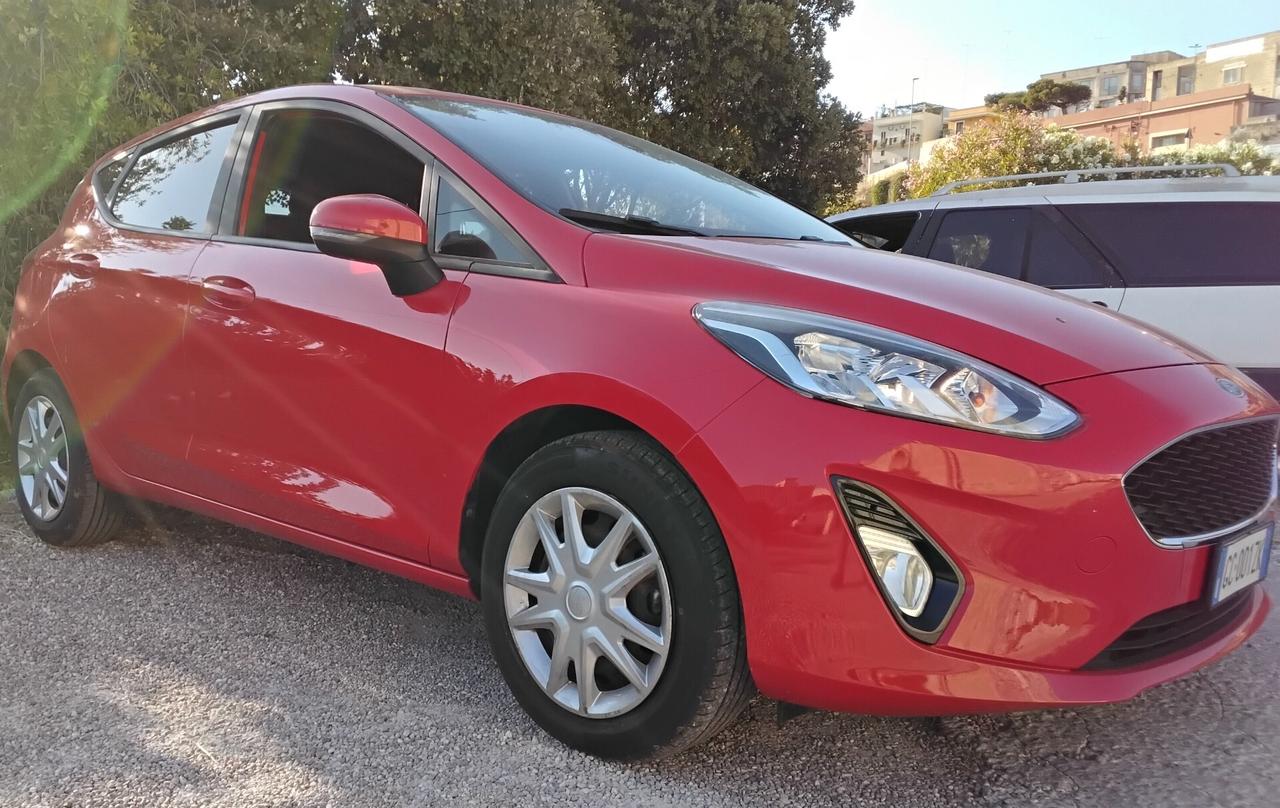 Ford Fiesta 1.1 75 CV 5 porte Connect