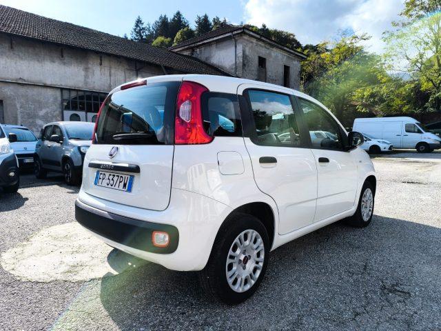 FIAT Panda 1.2 Easy ADATTA A NEOPATENTATI