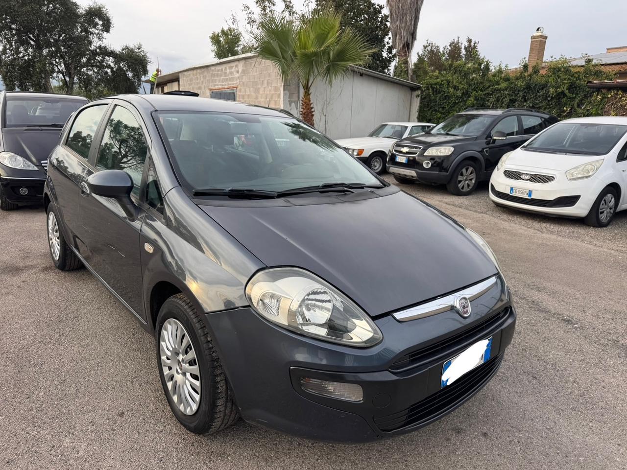 Fiat Punto Classic 1.2 5 porte Active GPL