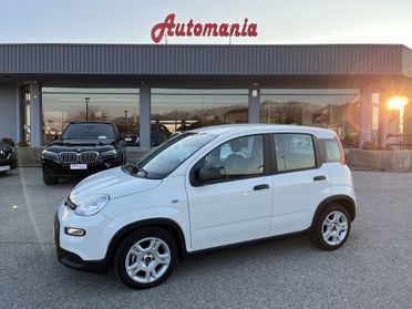 FIAT PANDA 1000 CC 70 CV FIREFLY