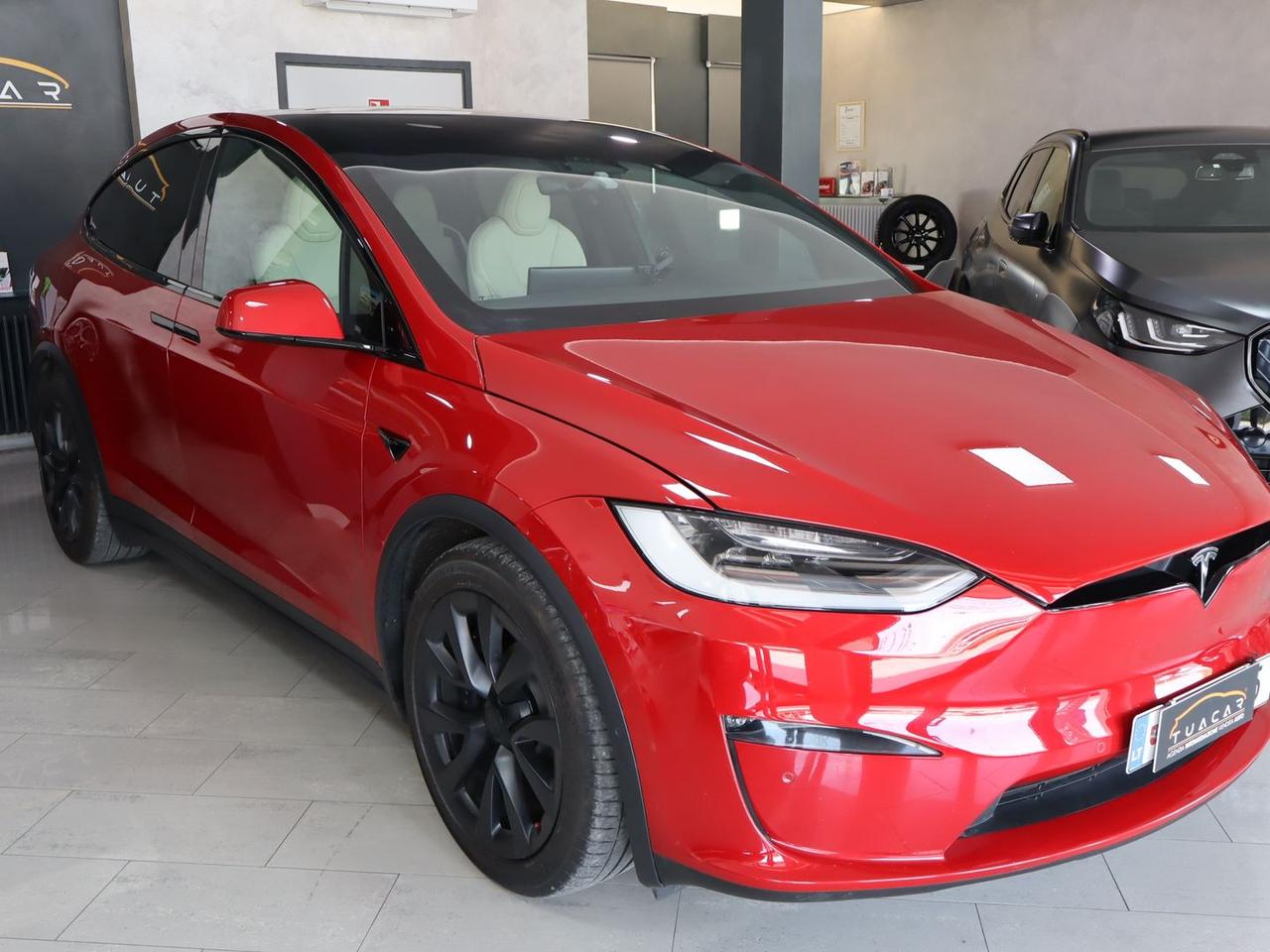 Tesla Model X Plaid #11739