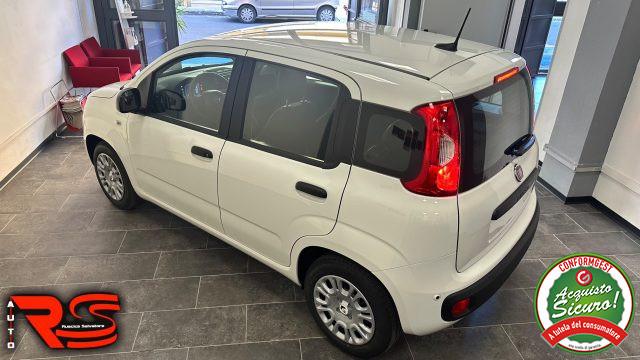 FIAT Panda 1.0 FireFly S&S Hybrid Pandina Adatta Neopatentati