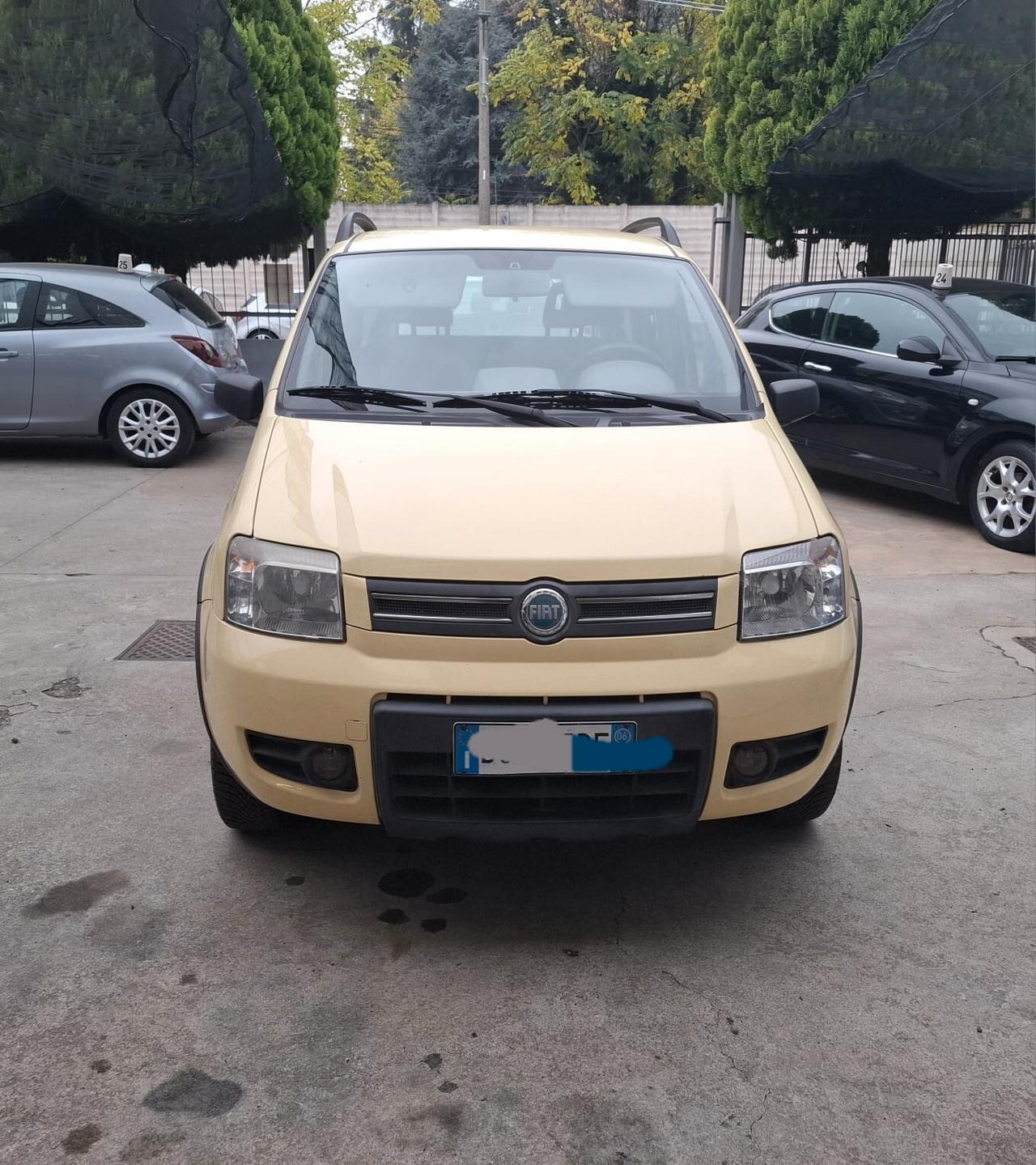 Fiat Panda 1.2 4x4
