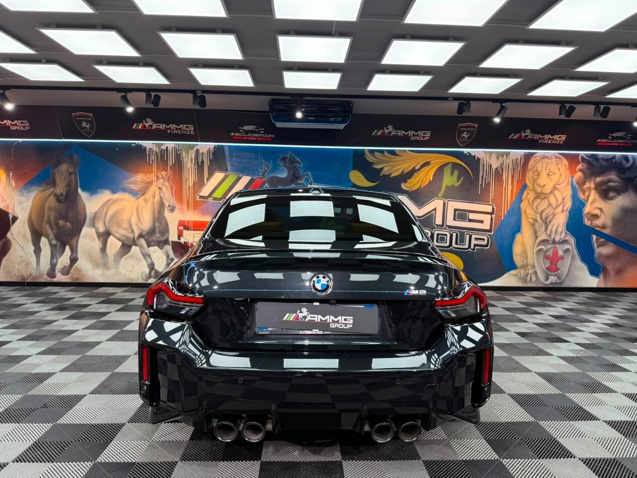 Bmw M2 (595)