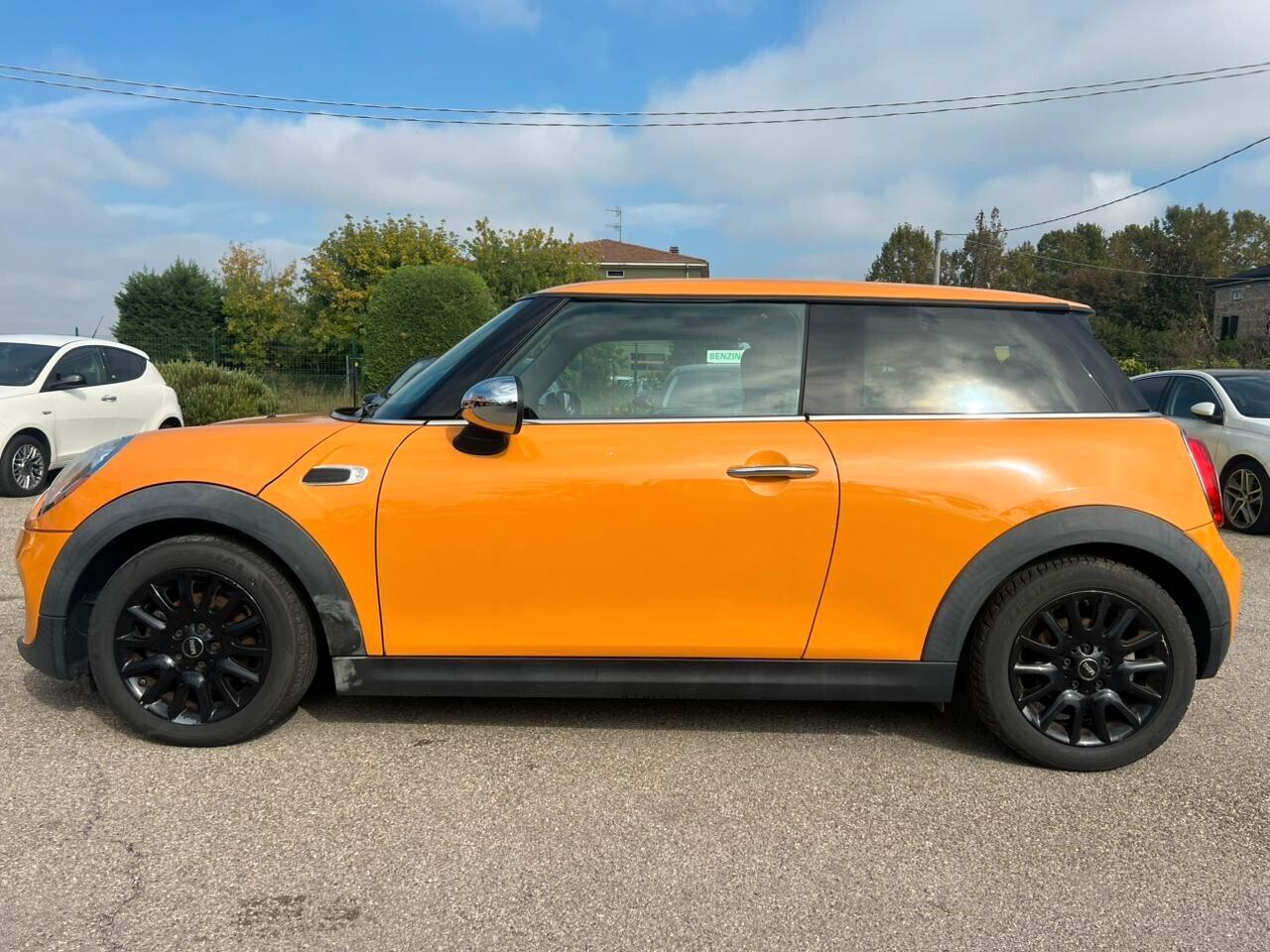 Mini Mini 1.5 One D