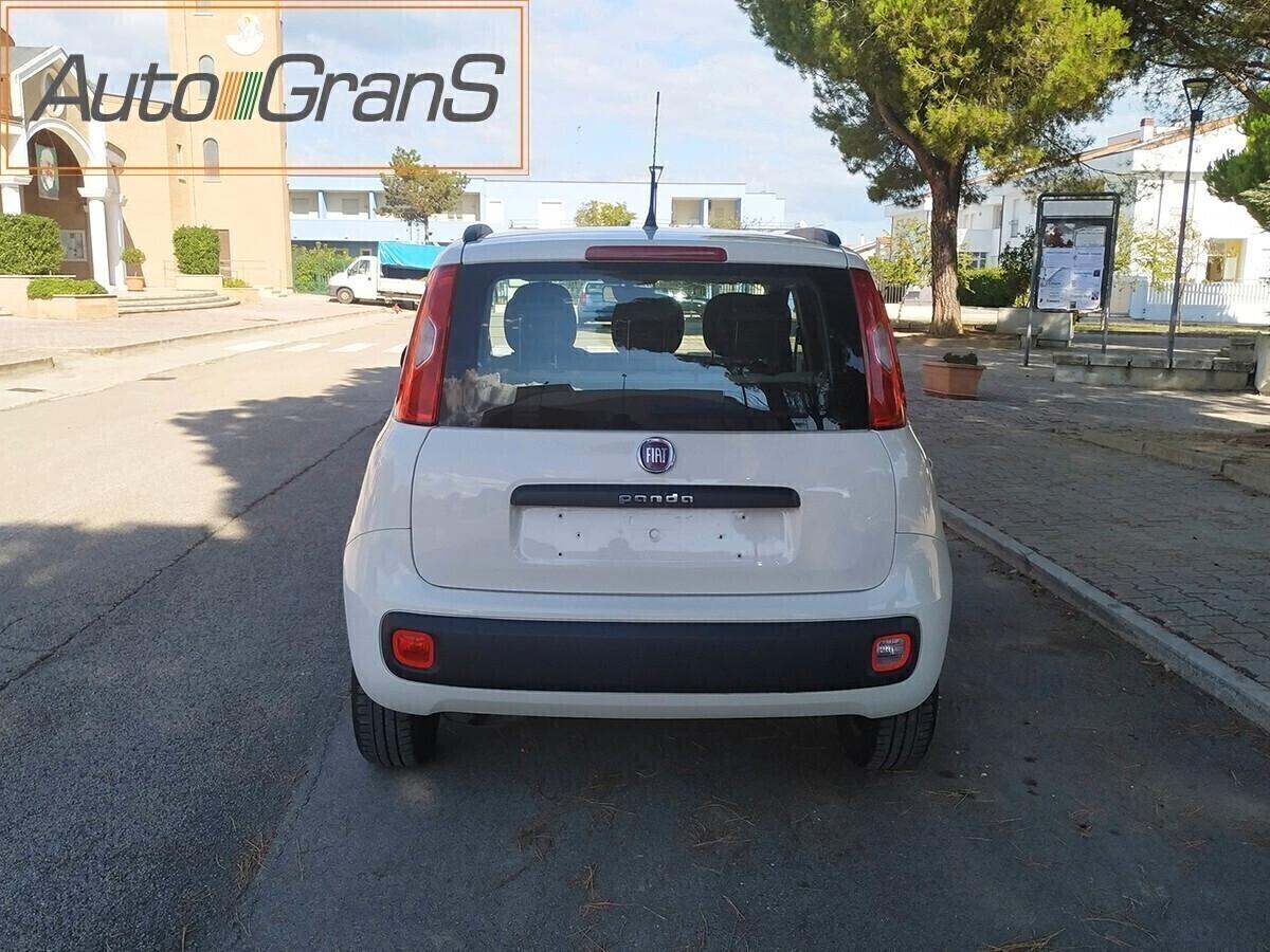 FIAT PANDA 1.2 Lounge Bianco 5Posti