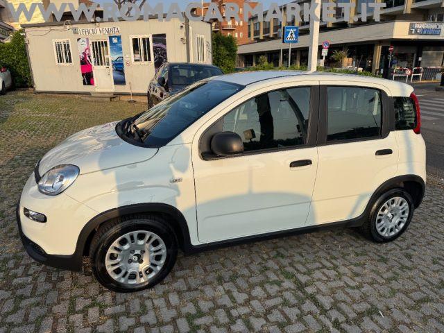 FIAT Panda 1.0 FireFly S&S Hybrid PACK CITY AZIENDALE NO VINC