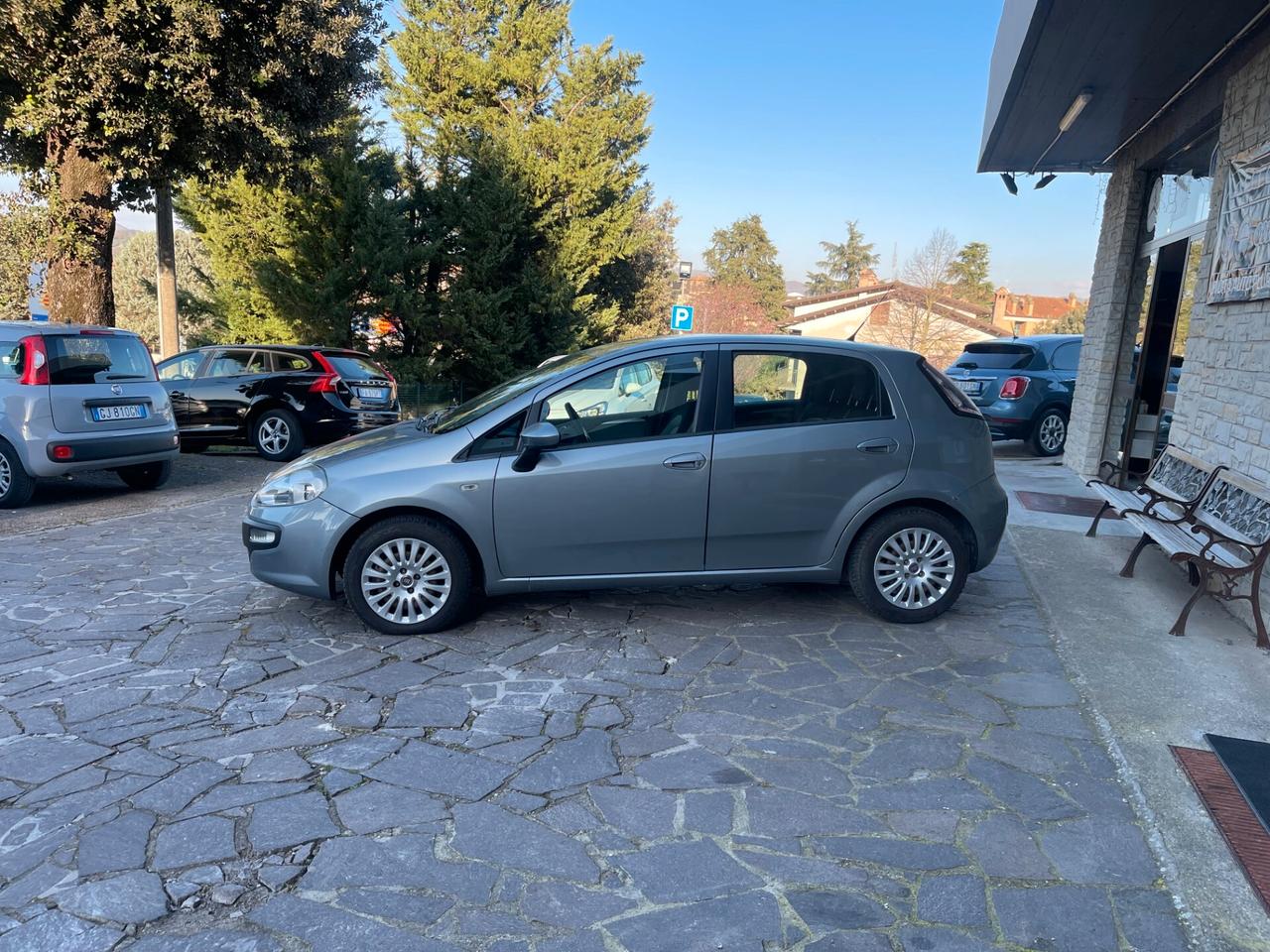 Fiat Punto Evo 1.2 5 porte S&S Dynamic NEO PATENTATI