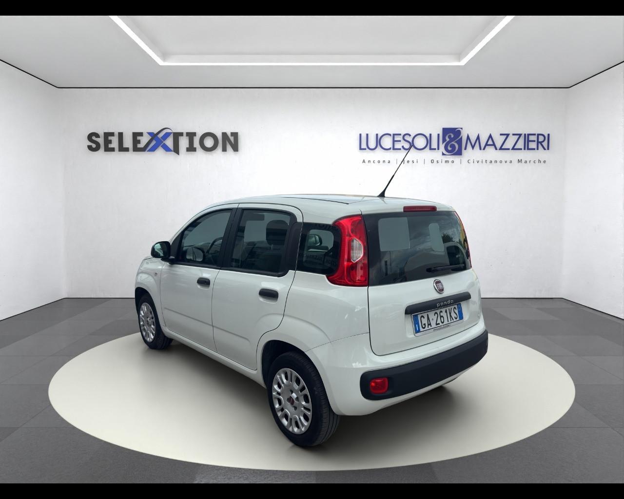 FIAT Panda 3ª serie - Panda 1.2 Easy