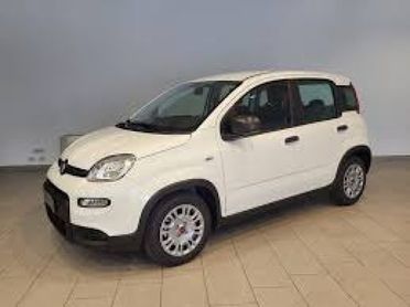 FIAT Panda 1.0 FireFly S&S Hybrid x Neopatenteti