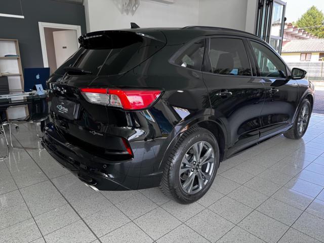 FORD Kuga 2.0 EcoBlue 120 CV aut. 2WD ST-Line - VARI COLORI!
