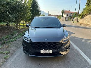 Ford Kuga 2.0 EcoBlue Hybrid 150CV 2WD ST-Line