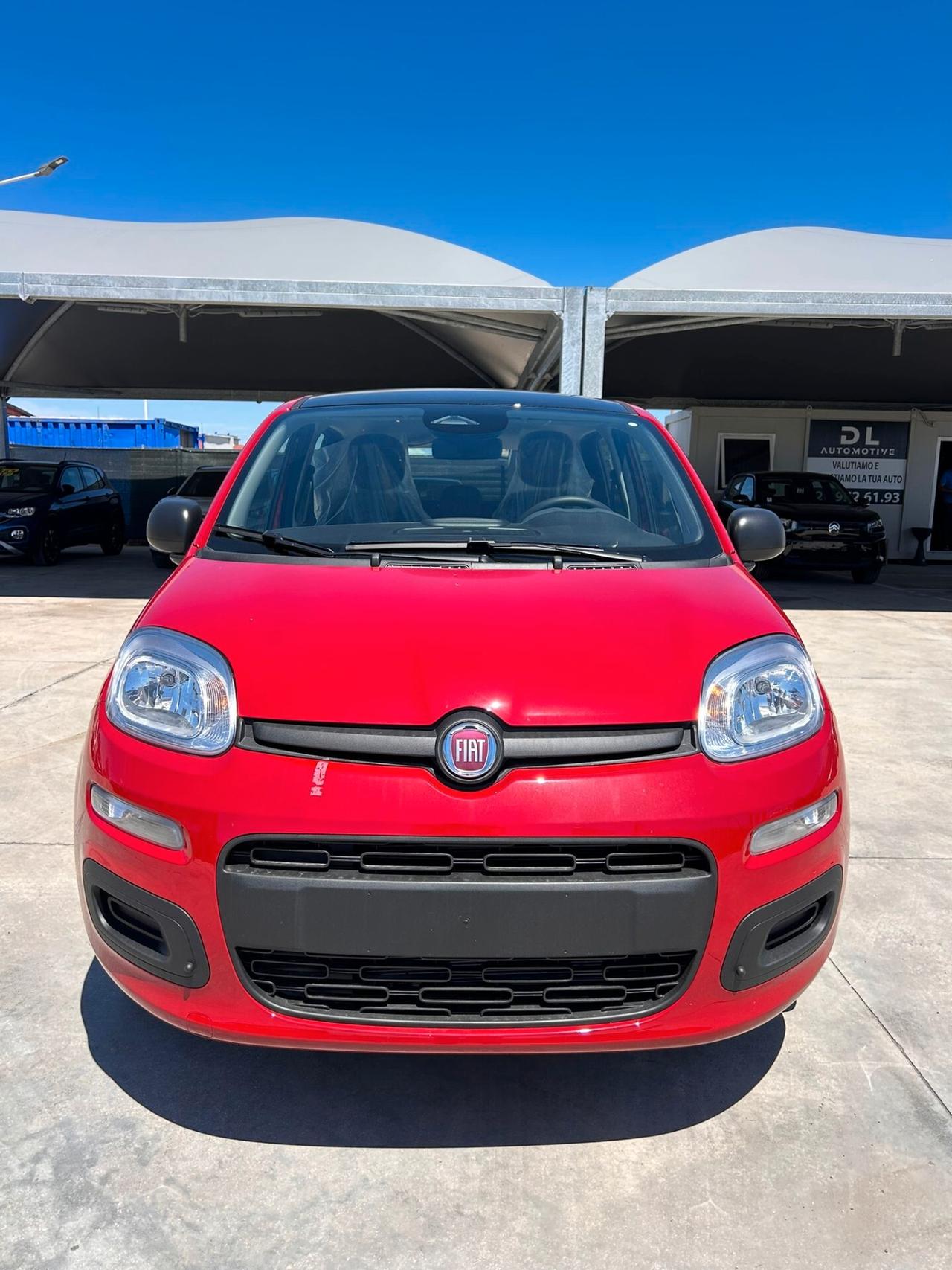 Fiat Panda Pandina 1.0 FireFly 65 CV Hybrid Icon