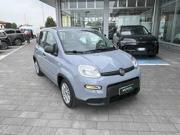 Fiat Panda 1.0 Hybrid 70cv Usato Garantito