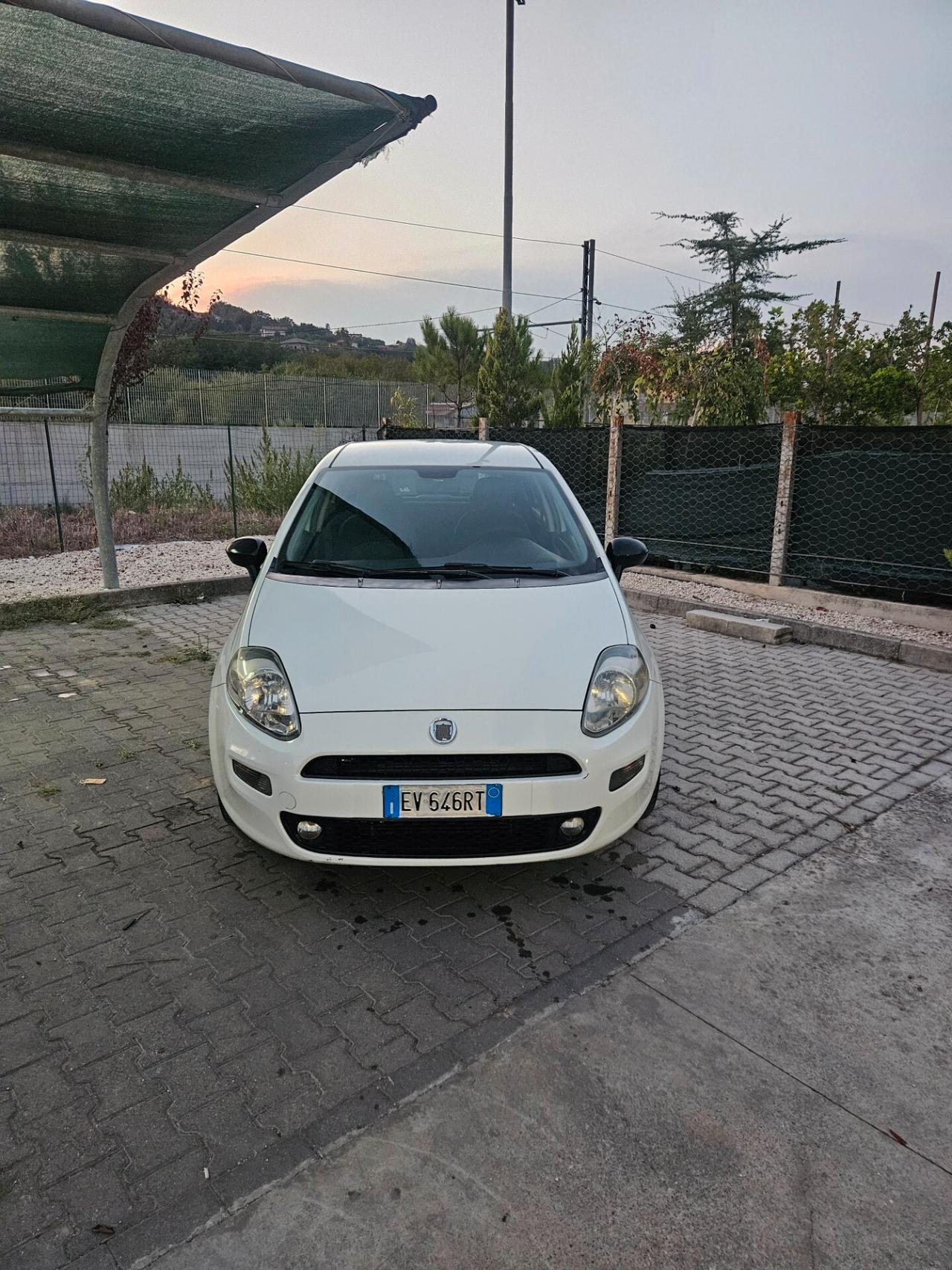 Fiat Punto 1.3 MJT II 75 CV 5 porte Lounge