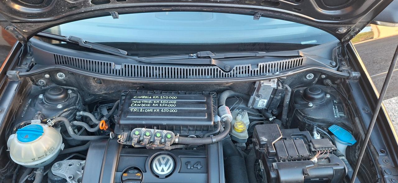 Volkswagen Polo 1.4/80CV 16V 5p. Comfort. BiFuel G