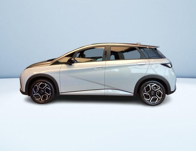 BYD DOLPHIN Design