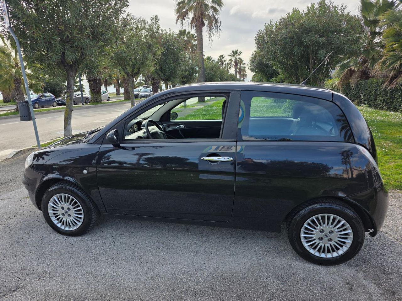 Lancia Ypsilon 3 Porte Ypsilon 1.3 mjt Argento