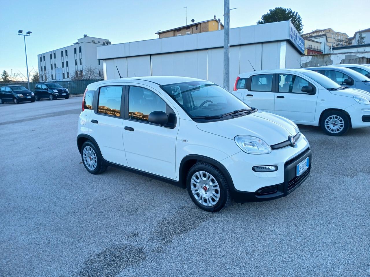 Fiat Panda 1.0 HYBRID 70CV 2023 CITY LIFE
