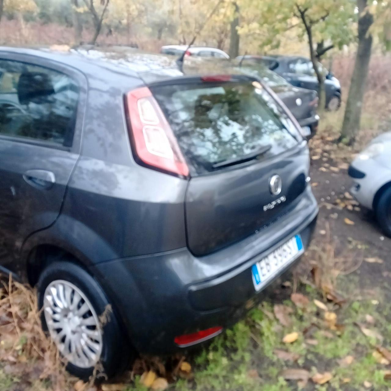 Fiat Punto Evo Punto Evo 1.3 Mjt 75 CV 5 porte Dynamic