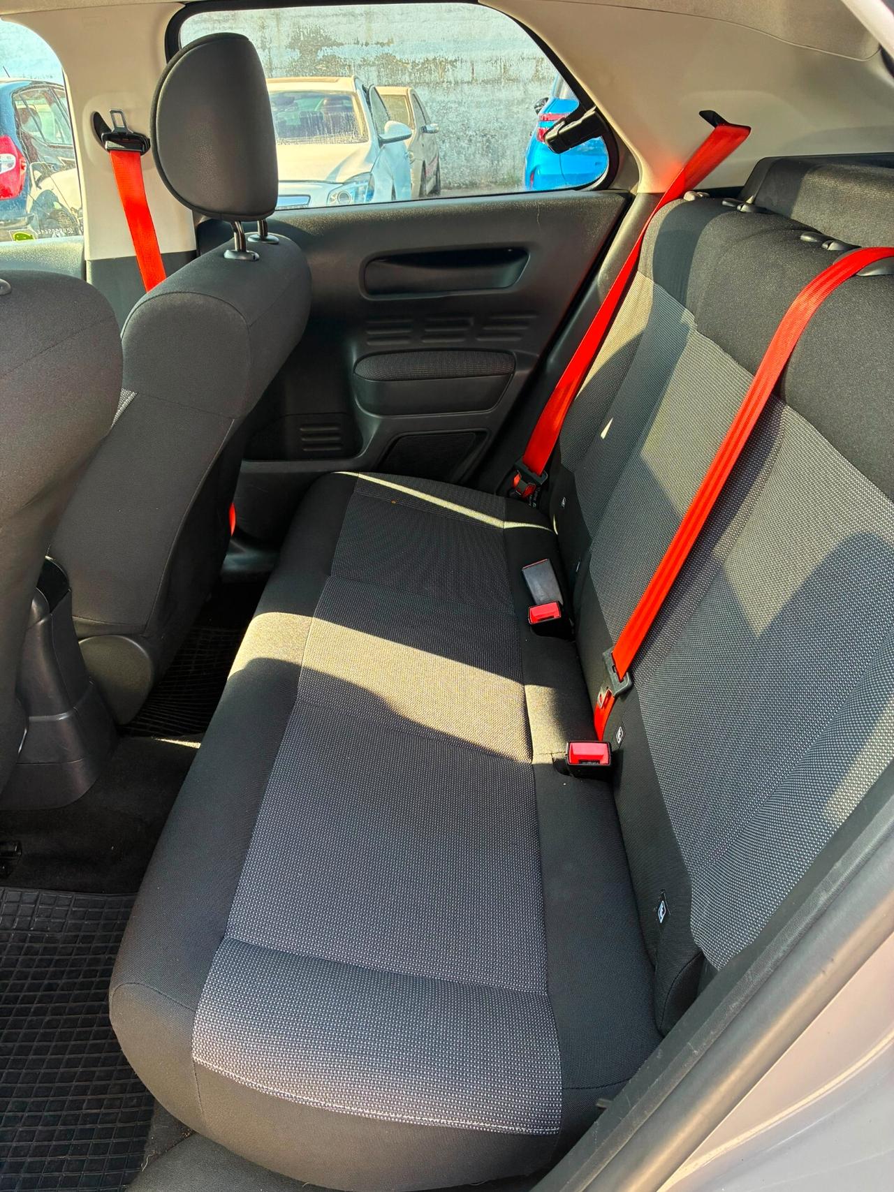 Citroen C4 Cactus BlueHDi 100 Rip Curl