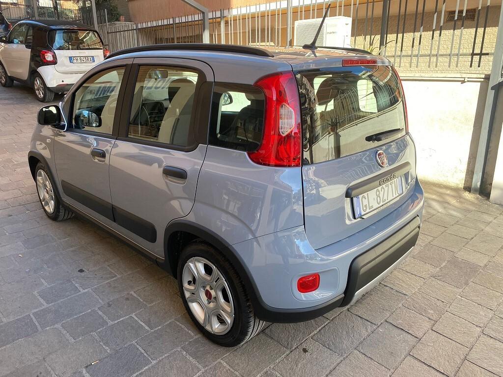 FIAT Panda 1.0 FireFly 5 porte S&S Hybrid
