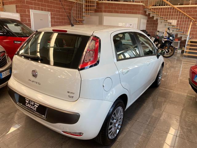 FIAT Punto Evo 1.2 5 porte S&S Active