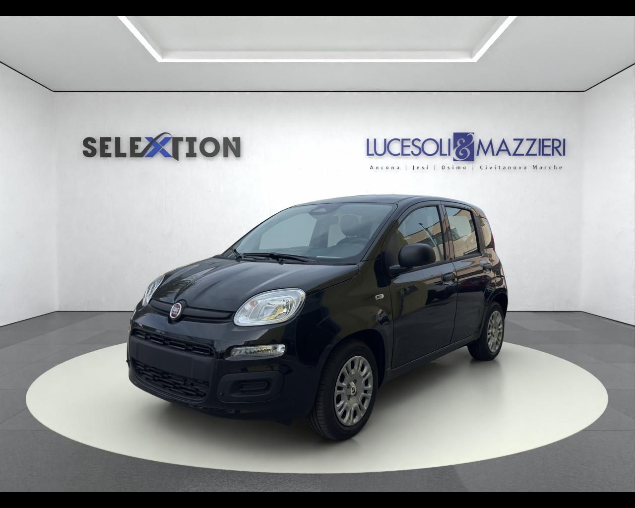 FIAT Panda 3ª serie - Panda 1.0 FireFly S&S Hybrid