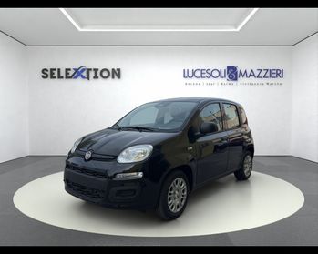 FIAT Panda 3ª serie - Panda 1.0 FireFly S&S Hybrid
