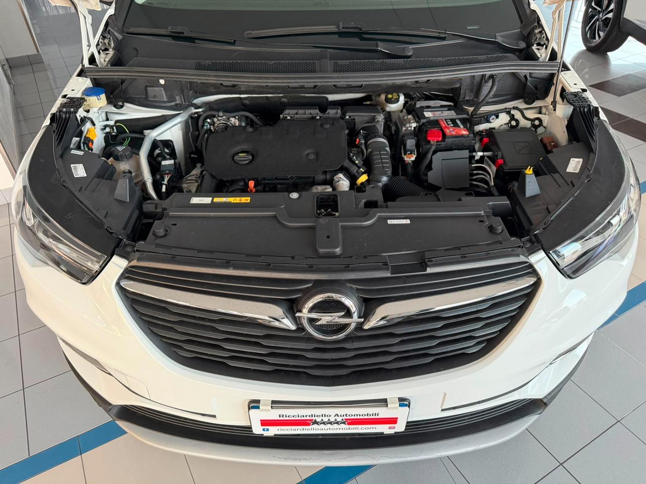 Opel Grandland X 1.5 Ecotec 130Cv auto Ultimate - bicolore