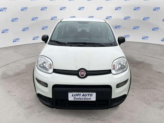 Fiat Panda 1.0 firefly hybrid s&s 70cv 5p.ti