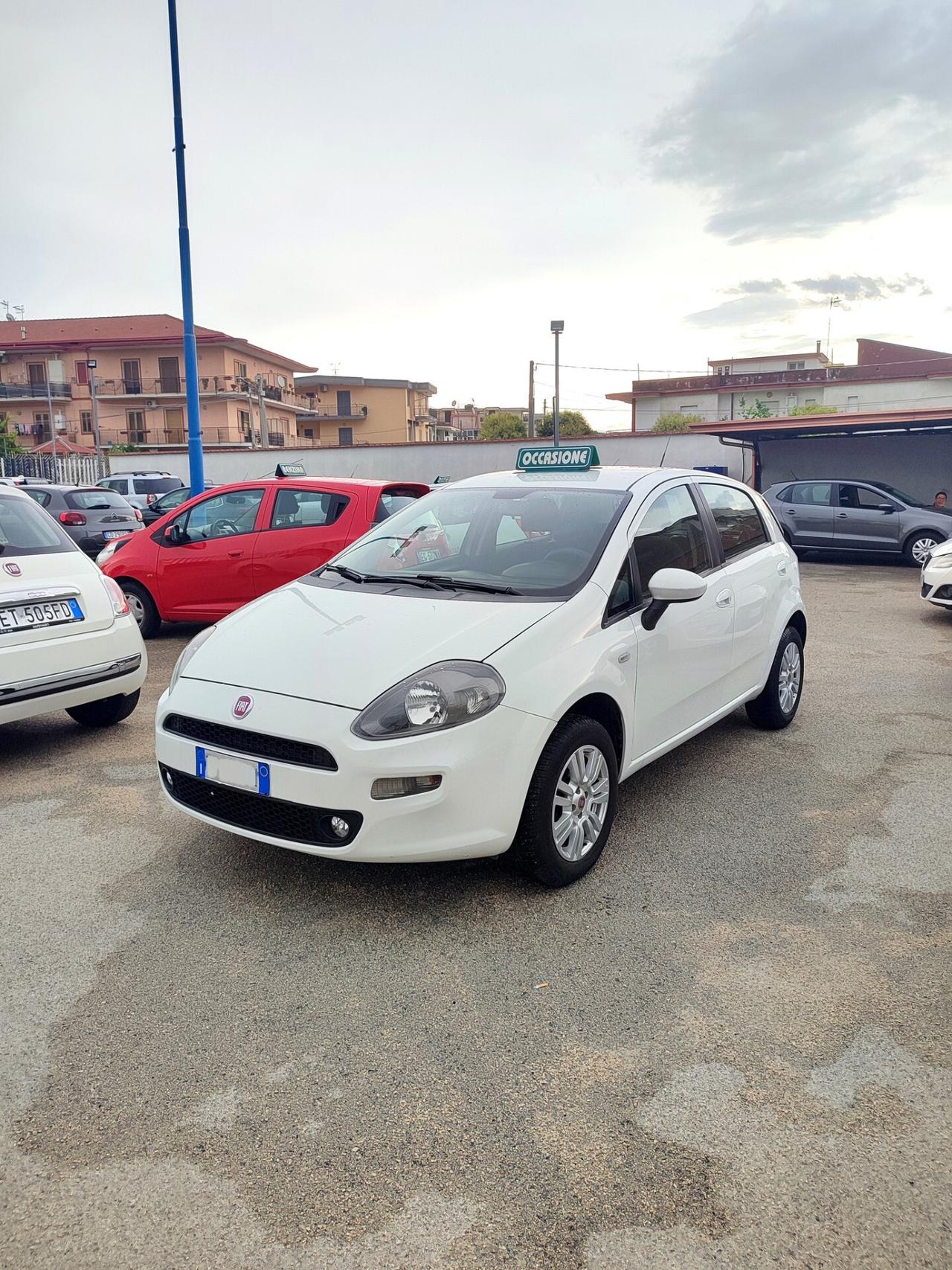 Fiat Punto 1.4 8V 5 porte Natural Power Lounge 77CV