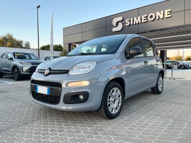 Fiat Panda 1.2 69cv Easy