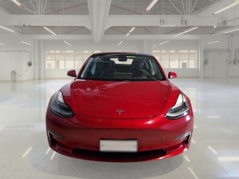 TESLA MODEL 3 75 kWh Long Range Dual Motor AWD 4 PORTE BERLINA