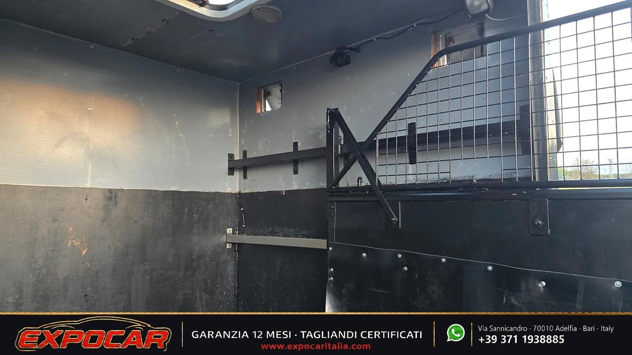 Iveco Daily - Trasporto Cavalli