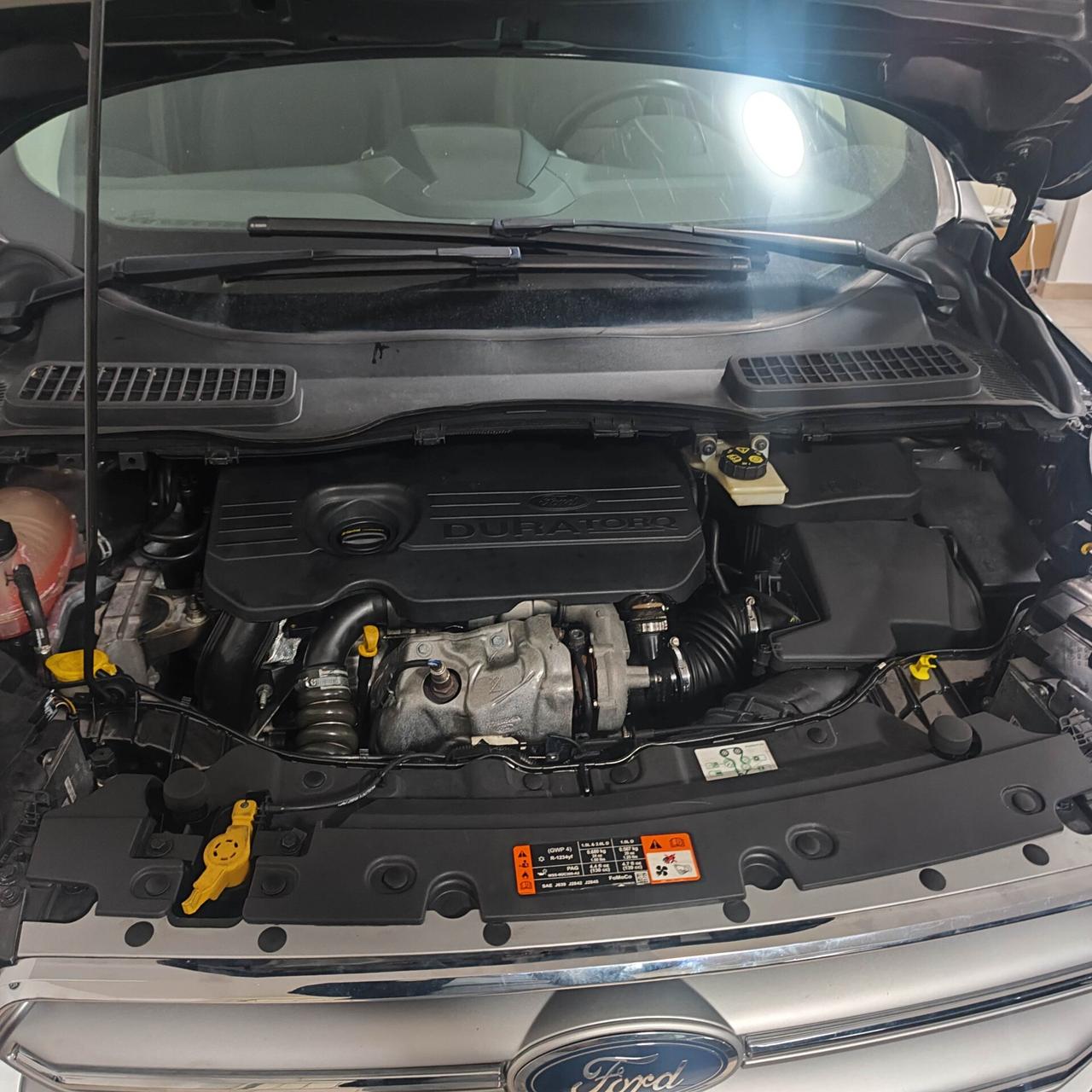 Ford Kuga 1.5 TDCI 120 CV S&S 2WD Powershift Business 12 mesi di garanzia