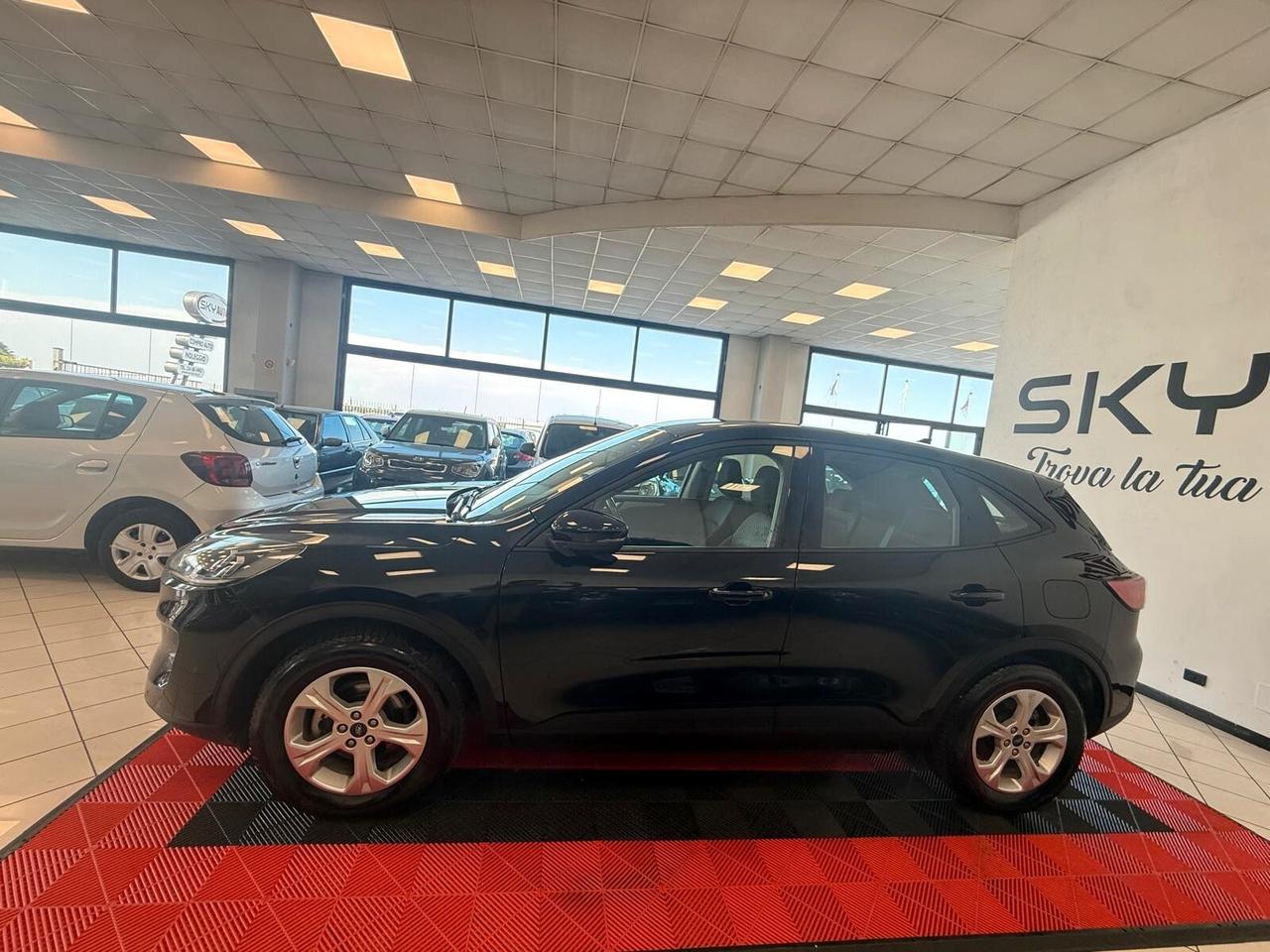 Ford Kuga 1.5 EcoBlue 120 CV aut. 2WD Connect