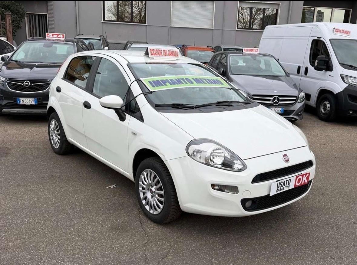 Punto 5p 1.4 Natural Power Street 70Cv E6b
