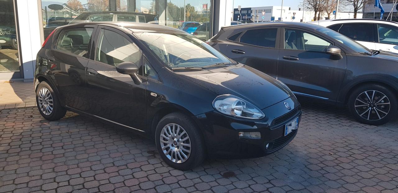 Fiat Punto 1.2 8V 5 porte Street OK NEO PATENTATI