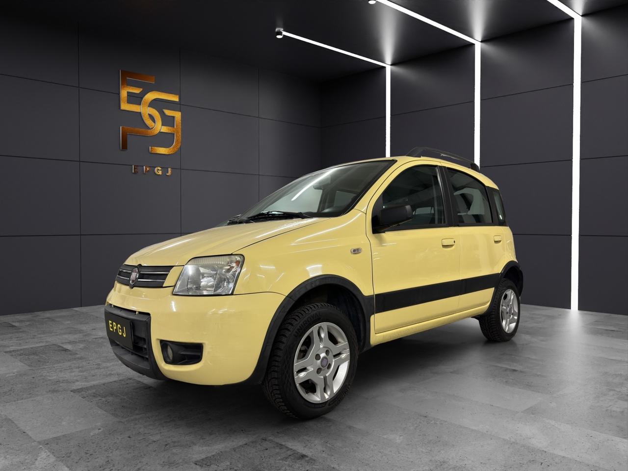 Fiat Panda 1.2 Climbing Natural Power