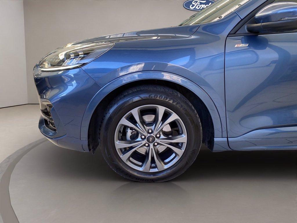 FORD Kuga 2.0 ecoblue ST-Line 2wd 120cv auto del 2024