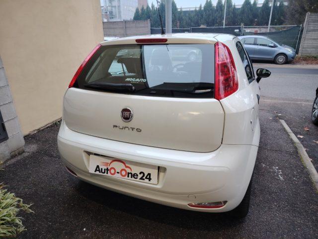 FIAT Punto 1.2 8V 5 porte Street NEOPATENTATI