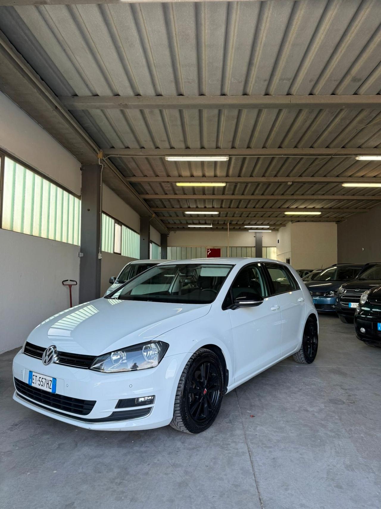 Volkswagen Golf 1.6 TDI 5p. Highline BlueMotion Technology