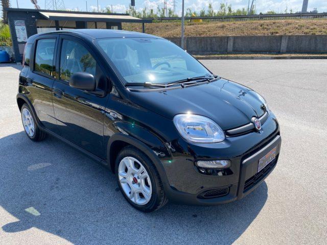 FIAT Panda 1.0 FireFly S&S Hybrid KM0!!!