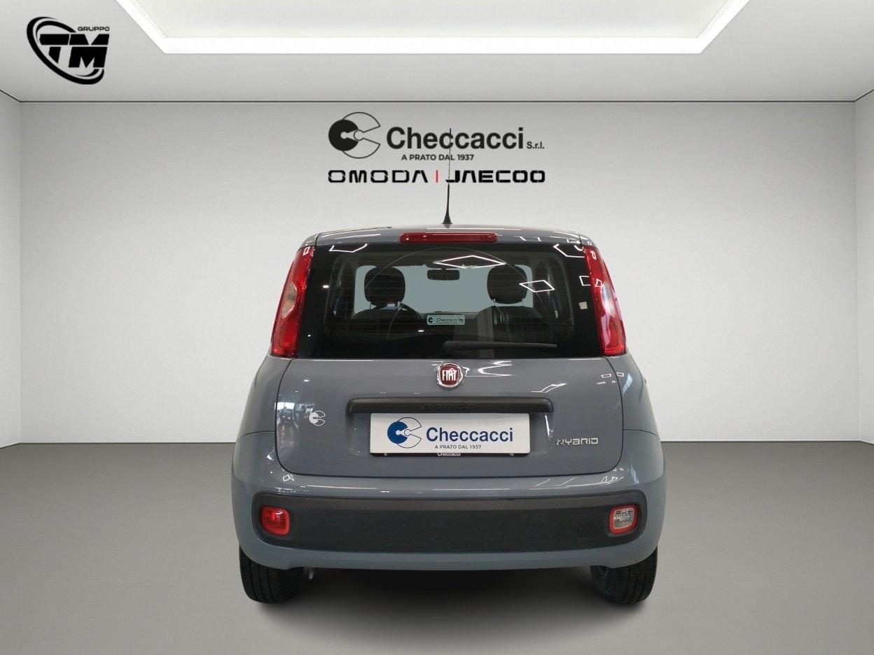 FIAT Panda 3ª serie Panda 1.0 FireFly S&S Hybrid