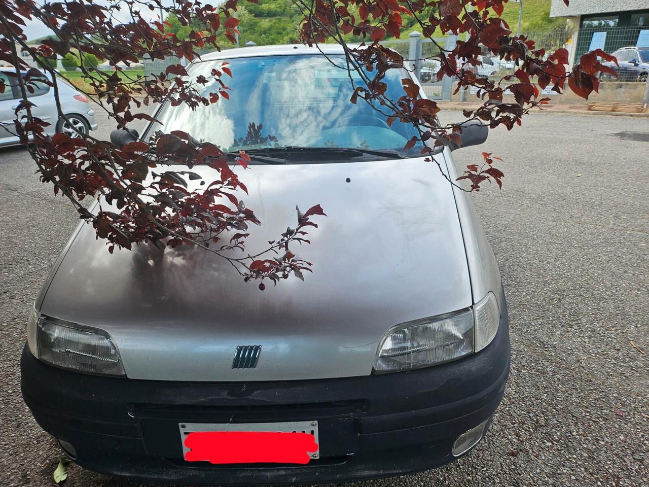 Fiat Punto 75 cat 5 porte HSD